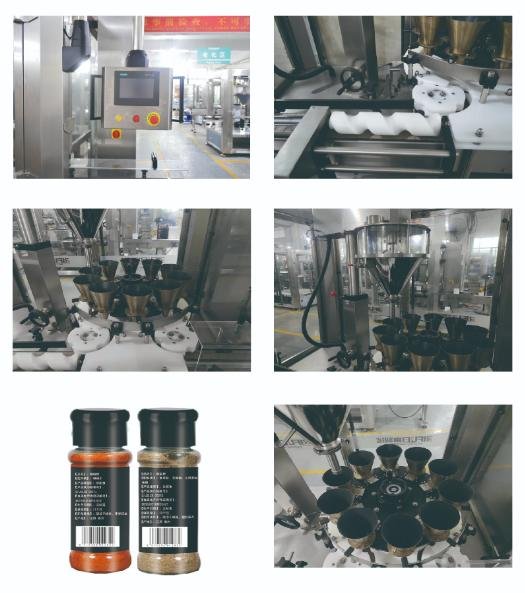 Rotary Powder Filling Machine - Image 2
